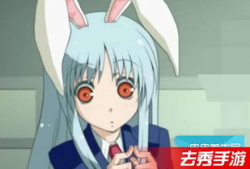 动漫磁力,探寻虚拟世界的魅力与奥秘